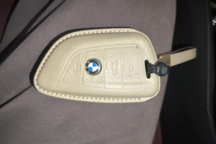 Used BMW 5 Series 2021 Restyled 530Li Luxury Edition M Sport Package
