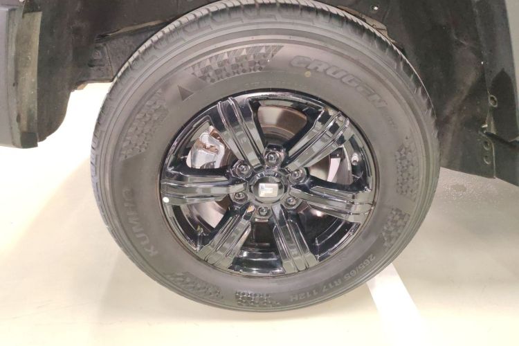 Used Tank 300 2024 2.0T Conqueror
