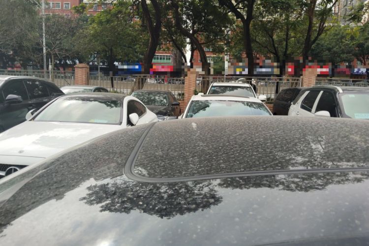 Used Volkswagen Magotan 2019 330TSI DSG Luxury Version China VI Standard
