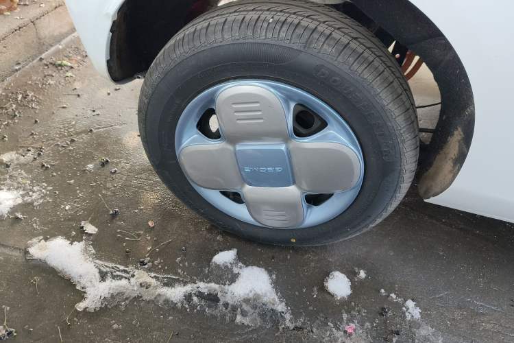 Used  Panda 2024 Panda Mini 200km Endurance Bear
