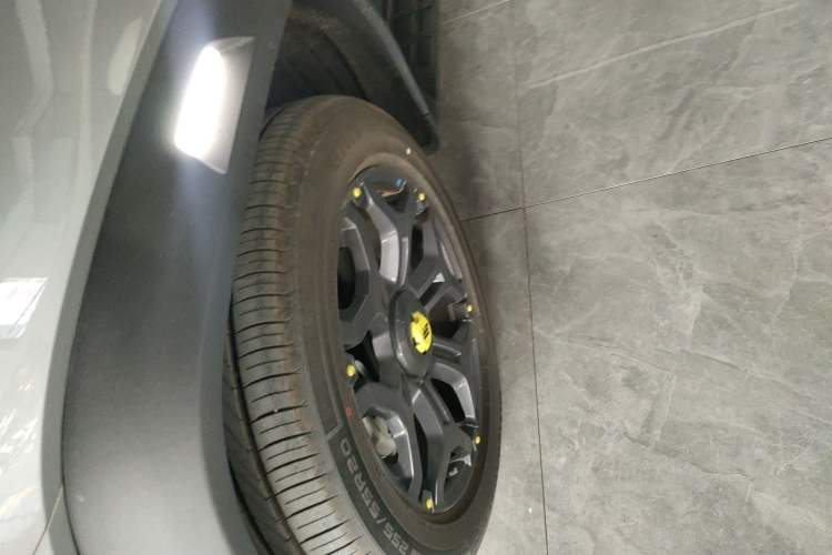 Used  Shanhai T2 2024 C-DM 208KM Mountain & Wilderness Edition
