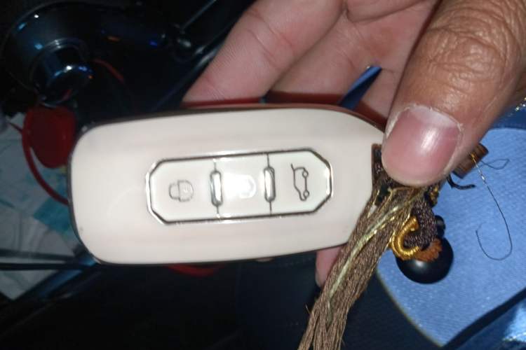 Used Ford Territory 2020 Lingjie S EcoBoost 145 CVT Platinum Edition
