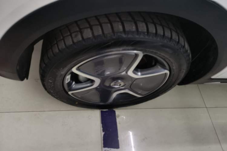 Used  #1 2023 Pro Edition