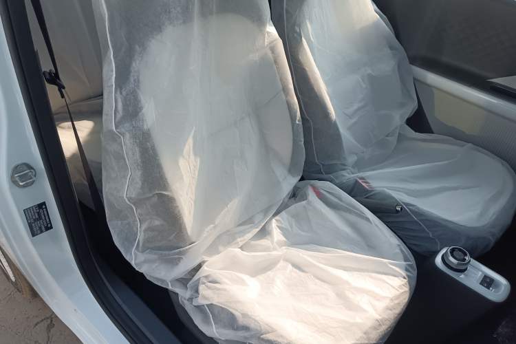 Used  Panda 2025 210 km – Yuanqi Bear
