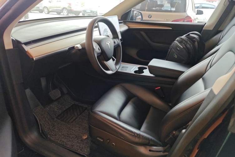 Used Tesla Model Y 2021 Standard Range Rear-Wheel Drive Version
