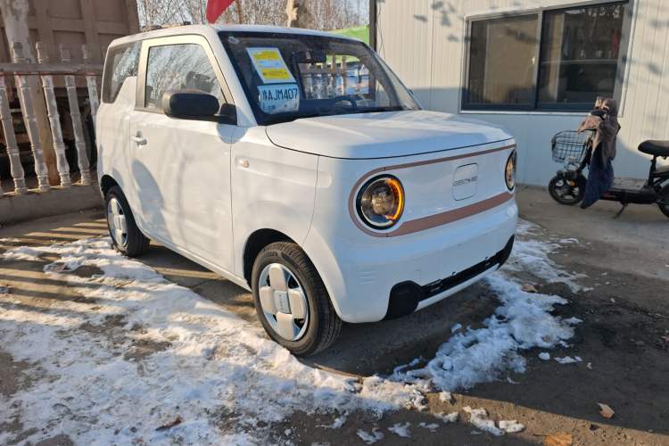 Used  Panda 2024 Panda Mini 200km Endurance Bear