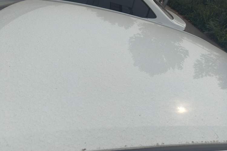 Used Toyota Corolla 2023 1.2T Pioneer Edition
