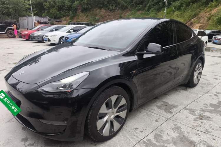 Used Tesla Model Y 2021 Standard Range Rear-Wheel Drive Version
