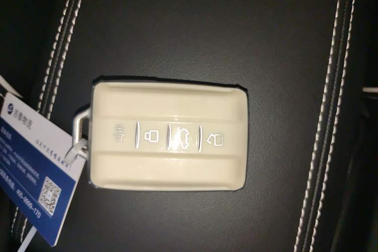 Used Tank 300 2023 2.0T Iron Rider 02