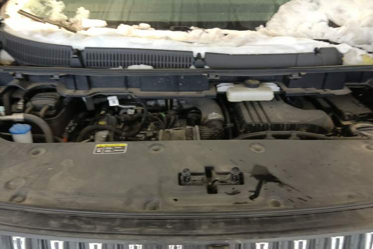 Used Hongqi HQ9 PHEV 2024 2.0T Four-Wheel Drive Business Edition
