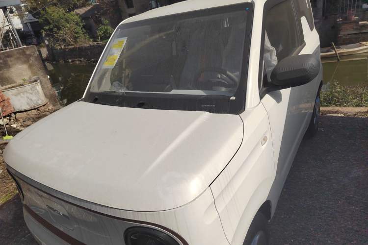 Used  Panda 2024 Panda Mini 200km Endurance Bear
