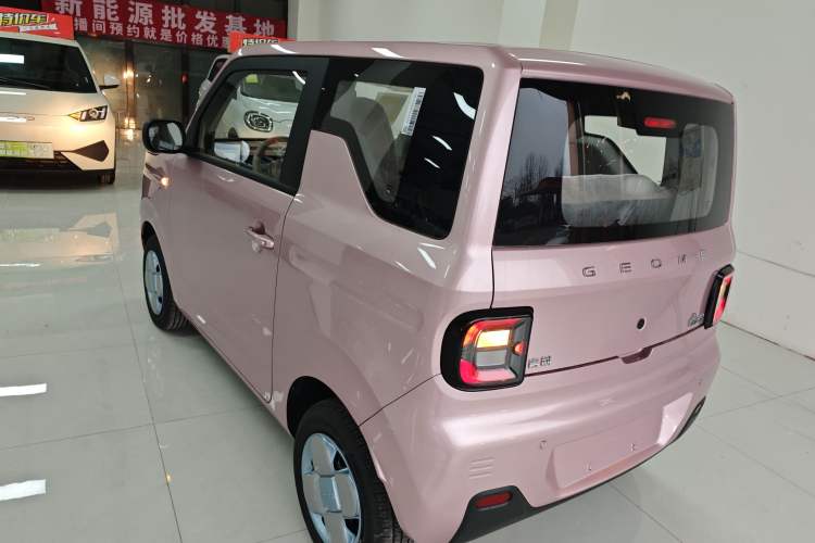 Used  Panda 2024 Panda Mini 200km Endurance Bear