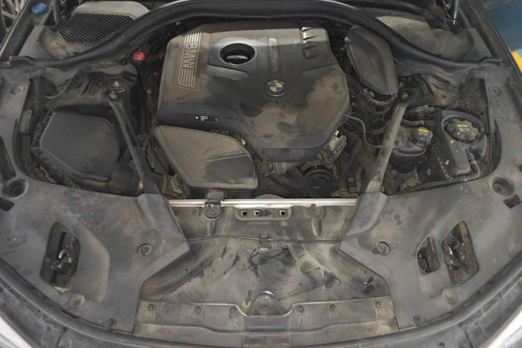 Used BMW 5 Series 2018 530Li Luxury Edition Premium Package
