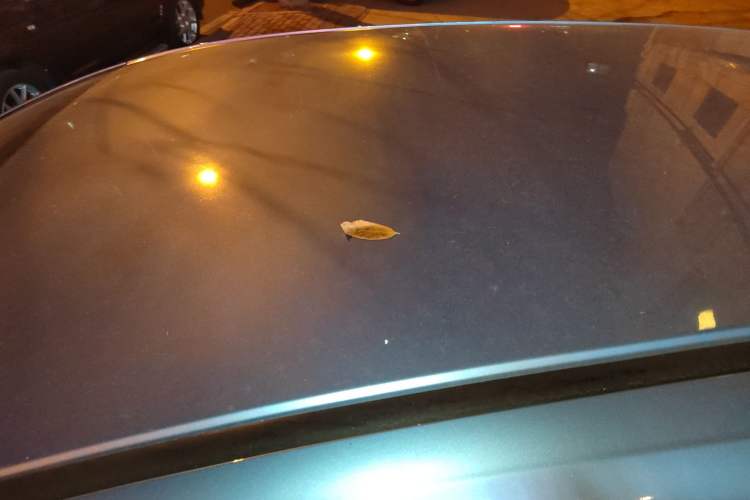 Used Honda Fit 2021 1.5L CVT Trend Edition