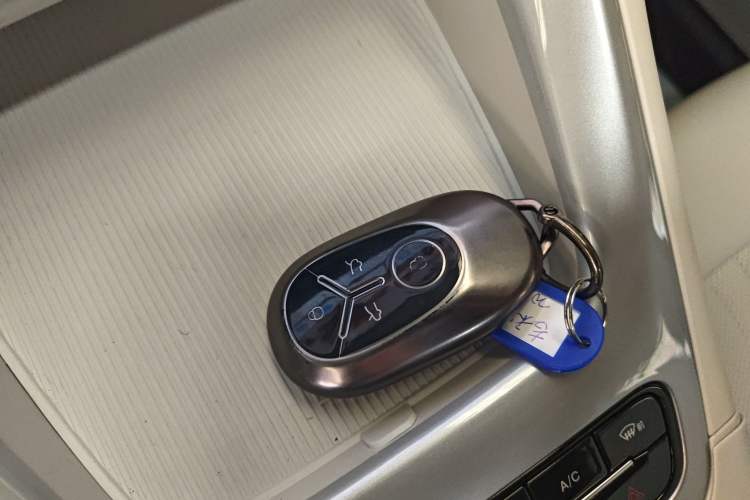 Used  Geome 2025 310km Dream Edition
