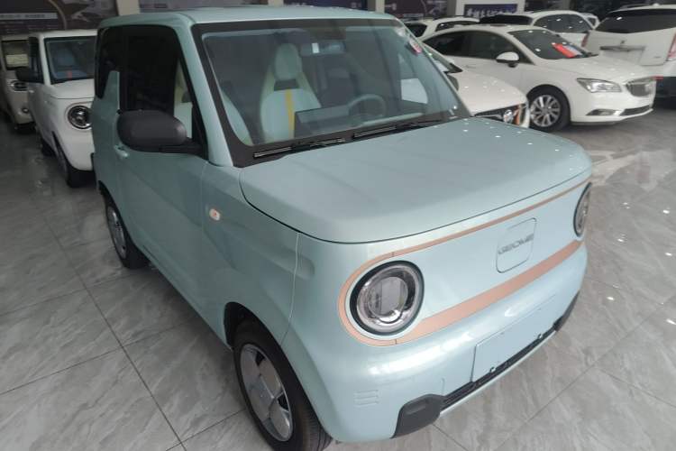 Used  Panda 2024 Panda Mini 200km Longteng PRO Edition

