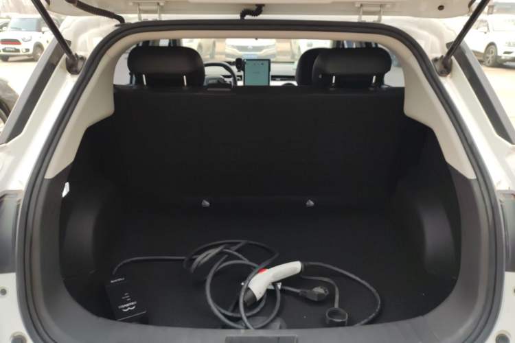 Used NETA V 2021 Long-Range Entertainment Edition Upgrade Model