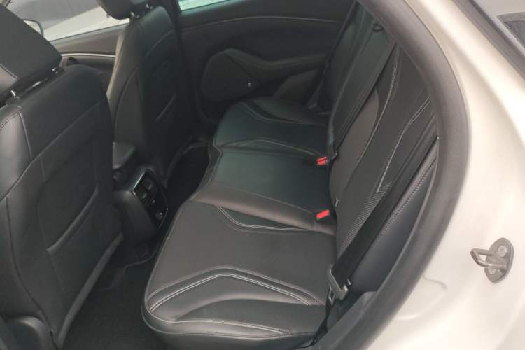 Used Ford Mustang Mach-E 2021 AION Y Plus Rear-Drive Luxury Edition (Long Range)
