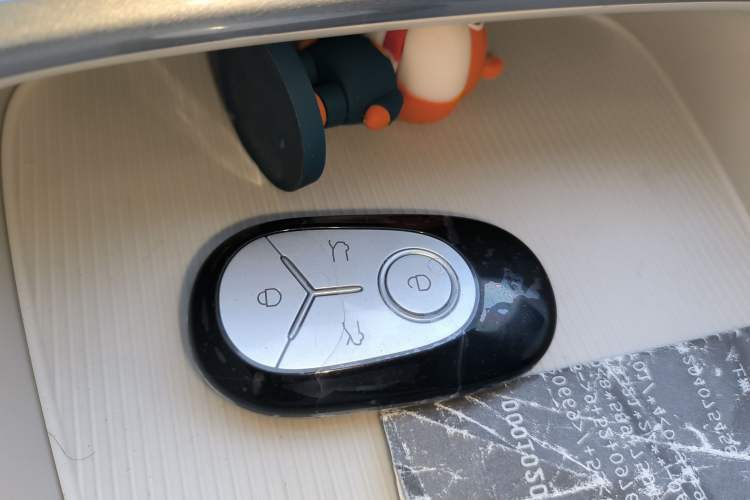 Used  Geome 2025 310km Youth Edition