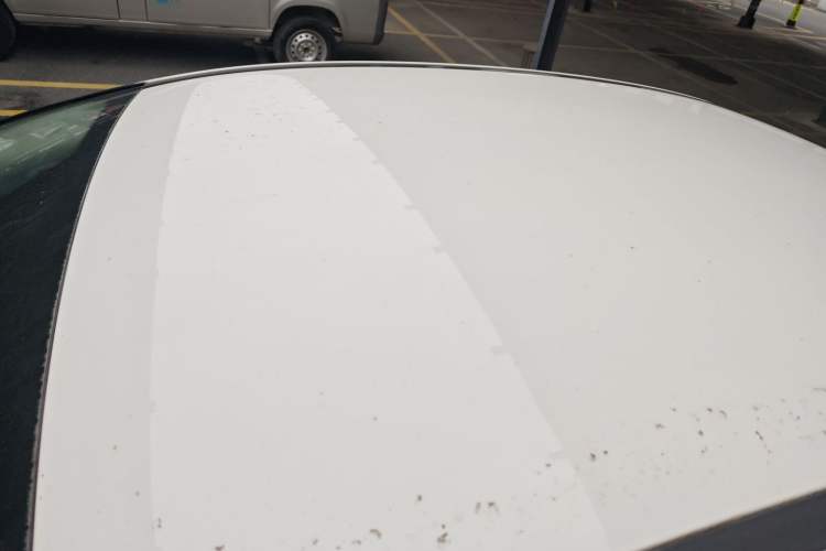 Used Ford Focus 2012 Sedan 1.6L Automatic Comfort Model
