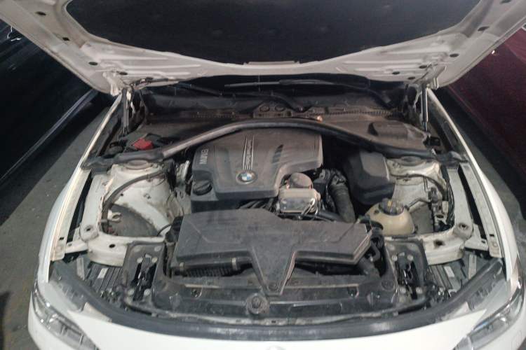 Used BMW 3 Series 2015 320Li Luxury Design Package
