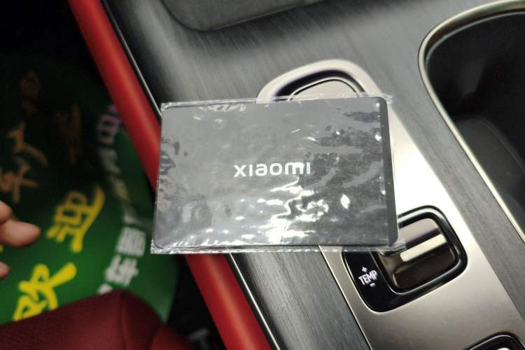 Used  SU7 2024 Rear-Drive Standard Founder Edition
