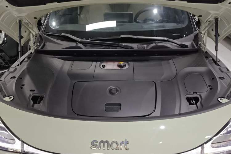 Used  #1 2022 Pulse Heartbeat Edition
