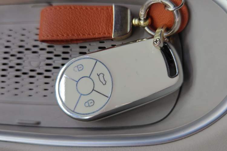 Used ORA Good Cat 2023 401 km Standard Range Luxury Version Lithium Iron Phosphate
