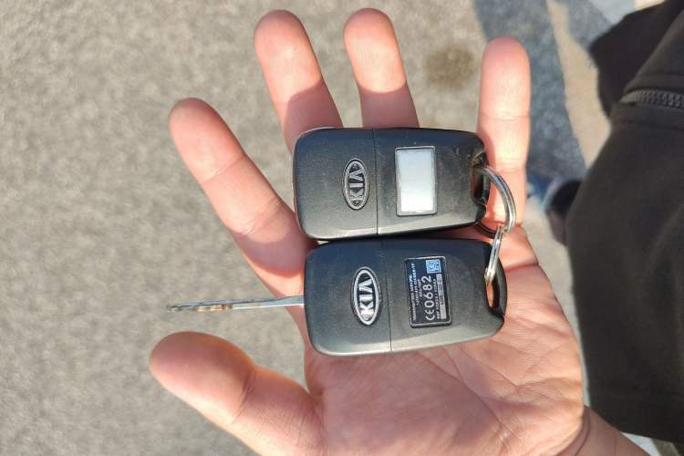 Used Kia Forte 2014 1.6L MT GL