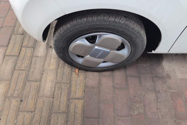 Used  Panda 2024 Panda Mini 200km Endurance Bear
