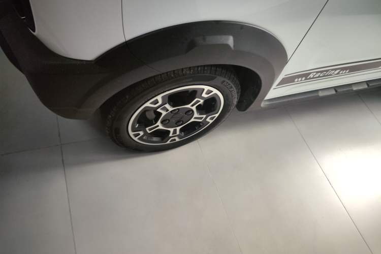 Used  Panda 2024 200km Panda Rider