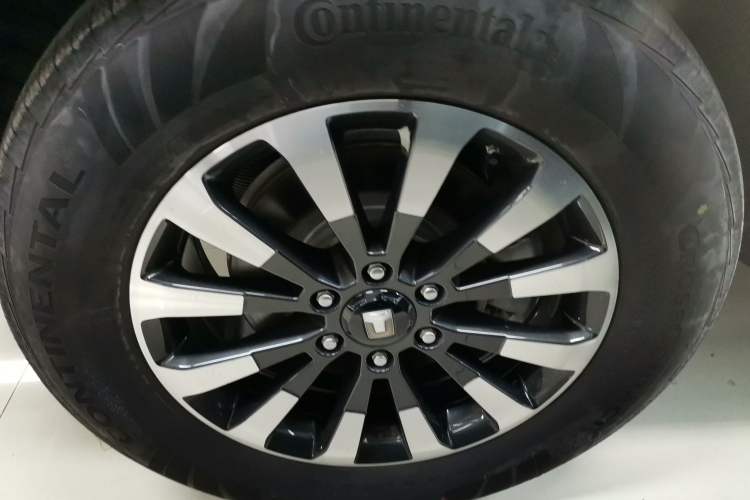 Used Tank 700 New Energy 2024 Hi4-T Extreme Edition
