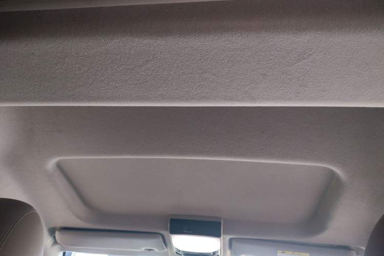 Used FORTHING Lingzhi 2020 M5L 1.6L Luxury 7-Seater
