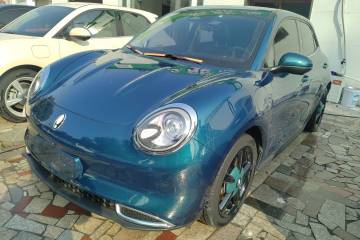 Used ORA Good Cat 2024 401 km Luxury Version