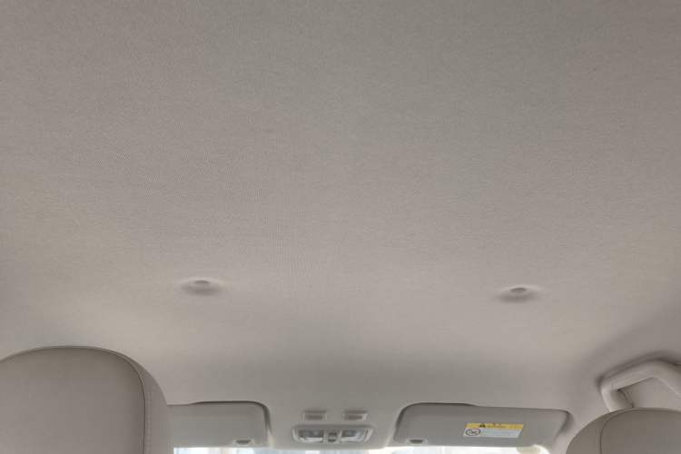 Used ORA White Cat 2022 Xiaoyue Mao Edition 360 km Luxury Model Lithium NMC
