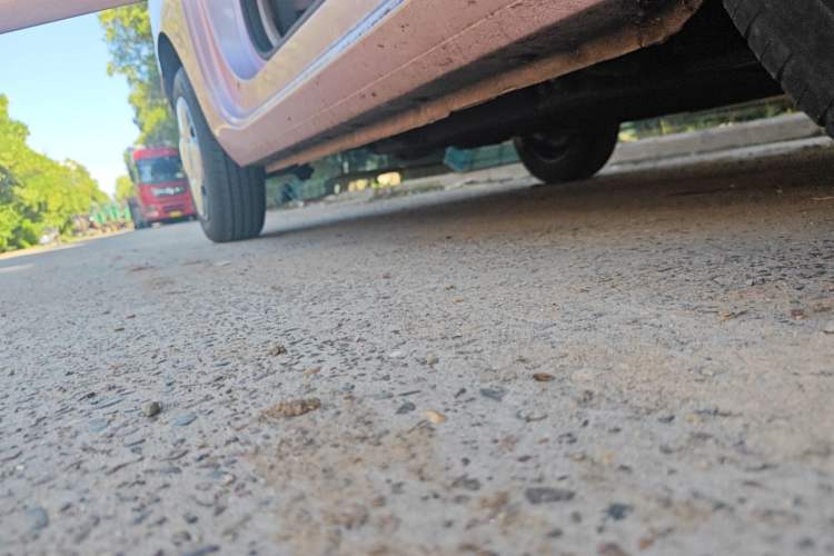 Used  Panda 2023 Panda Mini 200km Endurance Bear
