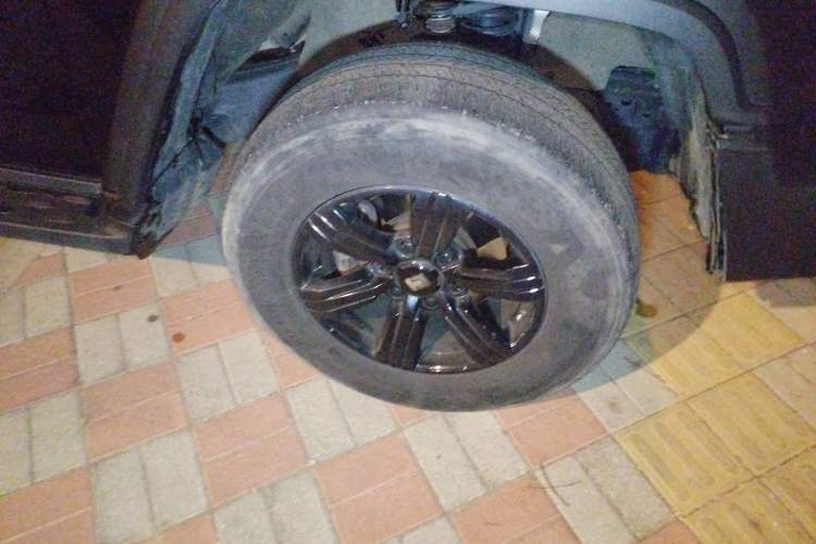 Used Tank 300 2024 2.0T Challenger
