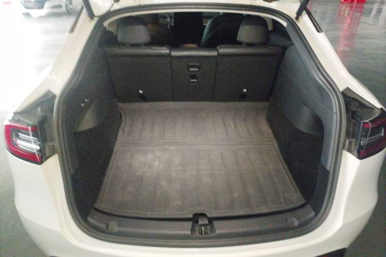 Used Tesla Model Y 2021 Long-Range All-Wheel-Drive Version
