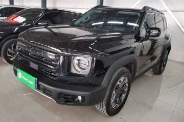 Used Haval DARGO 2024 2.0T DCT Chinese Rural Dog Edition