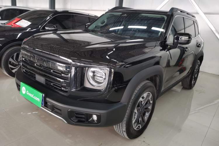 Used Haval DARGO 2024 2.0T DCT Chinese Rural Dog Edition