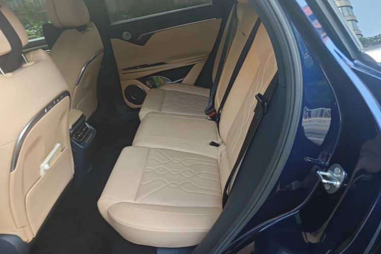 Used VOYAH FREE 2021 Four-Wheel Drive Standard Range-Extended Exclusive Luxury Package
