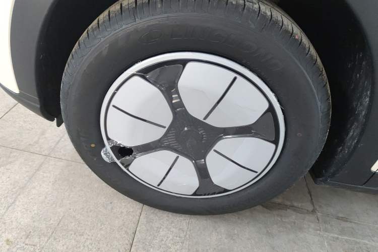 Used  Geome 2025 310km Youth Edition
