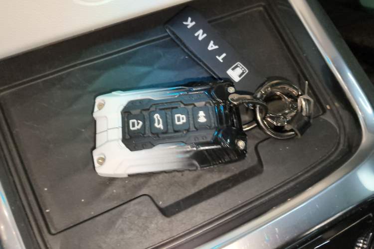 Used  Tank 300 2021 2.0T Cyber Tank
