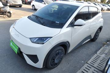 Used BYD Seagull 2025 Intelligent Driving Version 305 km Dynamic Edition