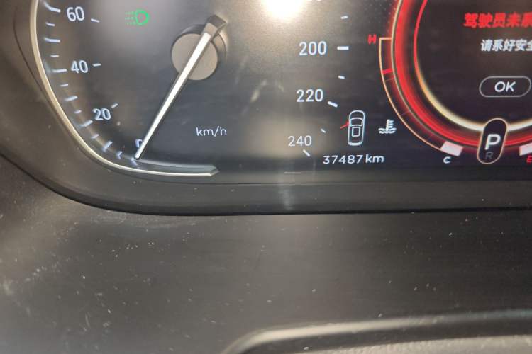 Used  TX 2021 Classic Edition 1.6T Four-Wheel Drive Star Enjoy Version