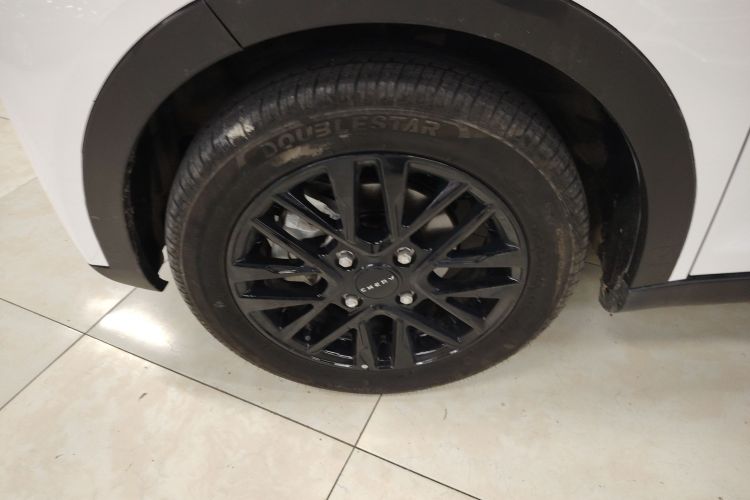 Used Chery Little Ant 2024 Youth Edition 251km True Love Edition 23.99 kWh
