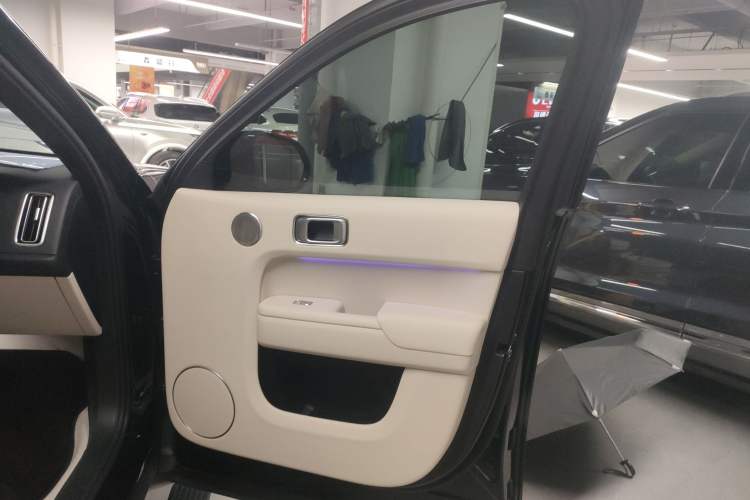 Used Li Auto L9 2024 PRO Model
