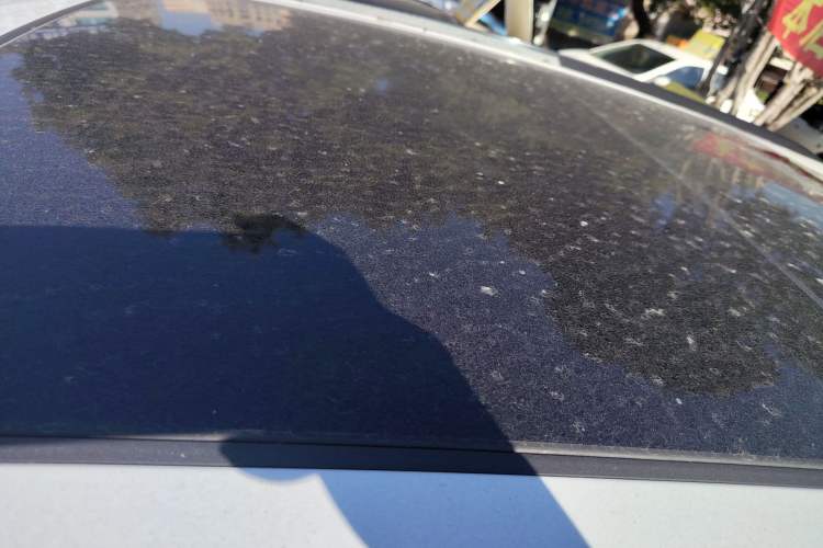 Used Audi Q3 2021 35 TFSI Fashion Dynamic Model