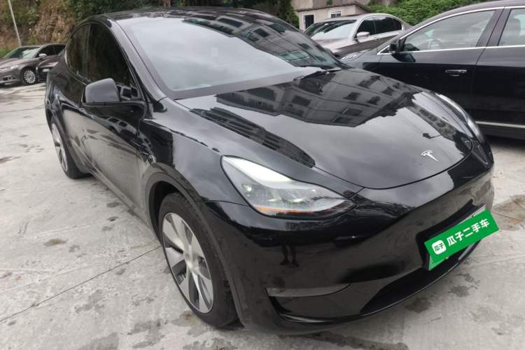 Used Tesla Model Y 2021 Standard Range Rear-Wheel Drive Version
