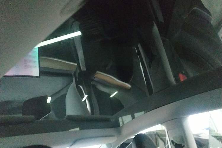 Used Tesla Model Y 2021 Long-Range All-Wheel-Drive Version
